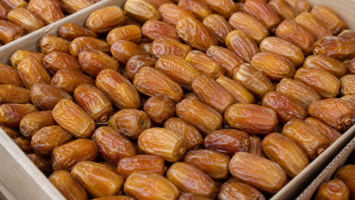 فروش خرما زاهدی بر پایه معیارهای انتخاب اقتصادی و صادراتی