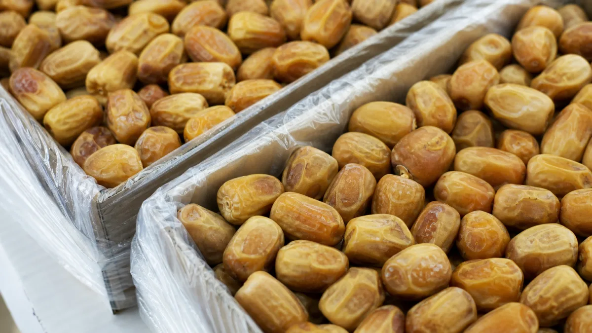 خرما زاهدی کارتونی با بسته‌بندی مقوایی مقاوم برای فروش