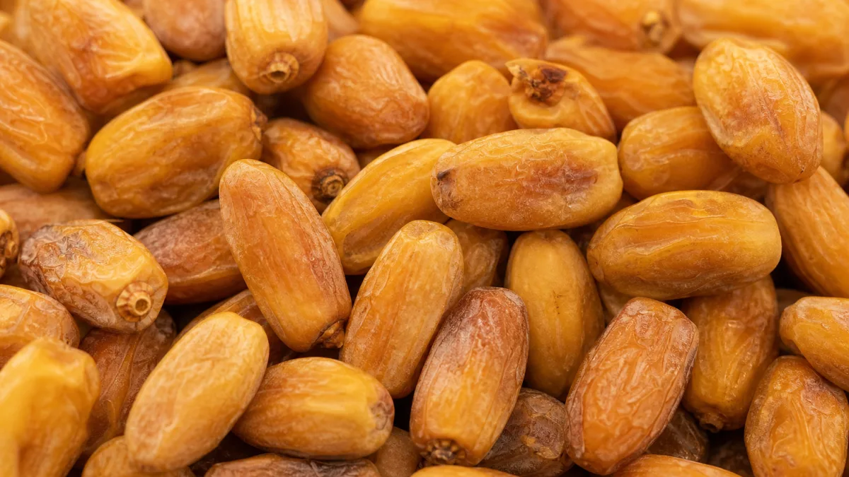 قیمت خرما زاهدی کیلویی برای خرید خانوادگی و سازمانی